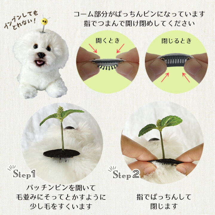 楽天市場】犬 蜂 ヘアピン 花 犬服 飾り ぱっちん 全犬種 うちの子 