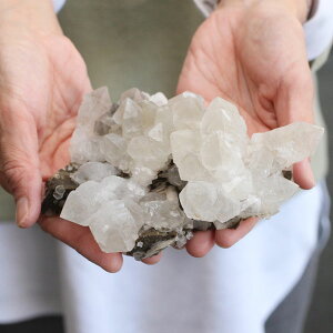 SPS JTCg NX^[ 664Oy p[Xg[ VR    u CeA Calcite GIM 2000900305920zyz