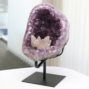 SPS AWXgWI[hiJTCgj 6200O ACAX^htyNX^[   p[Xg[ AWXgh[ AVXg  VR 2̒a   u