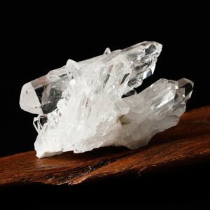 yi͂Iz_u|Cg NX^[ g}XSTKY 120Oyp[Xg[ VR NX^[ |Cg 4̒a ~iXWFCXB uW  u u