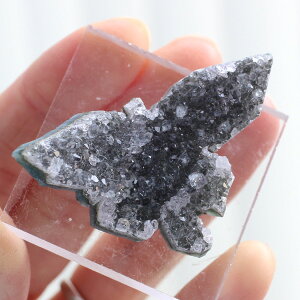 ubNAWXg NX^[  12Oy p[Xg[ VR AVXg ubN 2̒a J^   u o^tC XCeA amethyst GIM 2000900306118-2zy