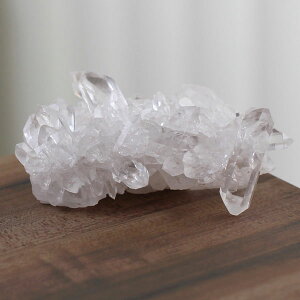 yi͂Iz~j NX^[ g}XSTKY 72Oyp[Xg[ VR NX^[ |Cg 4̒a ~iXWFCXB uW  u u  