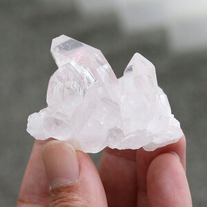 yi͂Iz~j NX^[ g}XSTKY 53Oyp[Xg[ VR NX^[ |Cg 4̒a ~iXWFCXB uW  u u  