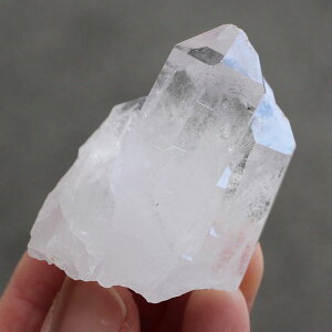 yi͂Iz~j NX^[ g}XSTKY 52Oyp[Xg[ VR |Cg  NH[c NX^ 4̒a uW  u u  Ce