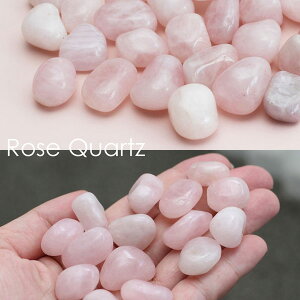 Iׂ4^u SSyp[Xg[  VR ^CK[AC bh^CK[AC AWXg [YNH[c Ֆڐ ԌՖڐ  2̒a  CeA  킢