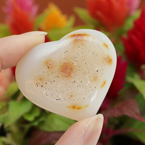 VR n[g^ 29Oy A[g VR p[Xg[ AQ[g [X 7̒a J[rO Ip[h qE   u u GIM 2000900801736zy[֑220