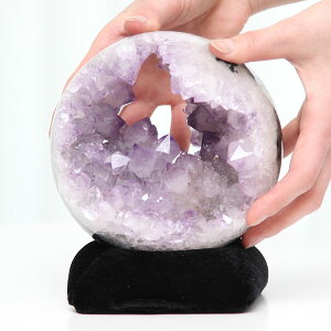 SPS AWXg WI[h XtBA ۋ a140~ 2210Oy NX^[  VR p[Xg[ uXbg̏ 2̒a ɐ  u 鑠RNV 