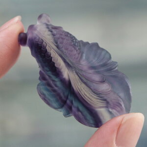  t[Cg J[rO 21Oy u  蕨  p[Xg[ VR u  CeA fluorite GIM 2000901000565-6z