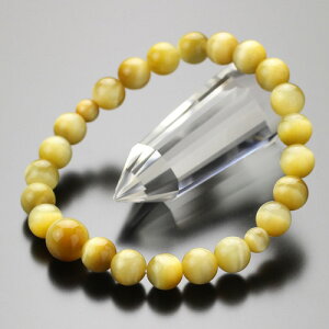 uXbg 8~ Ֆڐ΁yr֔O p[Xg[ VR ł O S[f^CK[AC  Ֆڐ ^CK[AC ANZT[ uX  8mm BIM 107060081zy