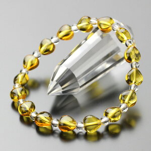 p[Xg[ uXbg n[g^ Vg 4~ {yVR  11̒a BIM 108000063zyz