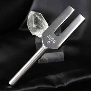 NX^`[i[ VR|Cg1ty  4096Hz 4096wc p[Xg[ 򉻃ObY q[OObY VR Ԃ̏ bNX  GlM[`[W 