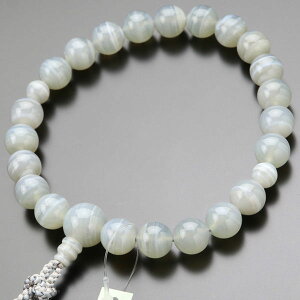  jp 22  [y O s [XAQ[g ߂̂ mE VR V @v @h 蕨 }C MD DIM 2000100302026zyܕtzyz