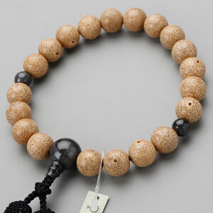 yi͂Izyʌz jp 20 I  r}Ő [y O s VRŐ {Ő Ő 5̒a Ђ WF_Cg @h  