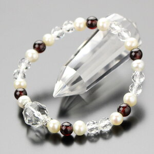 p[Xg[ uXbg@12~@X^[Jbg@6~@K[lbgEWp[ yVR  1̒a ў֐ i p fB[X  oY BIM 108120179z