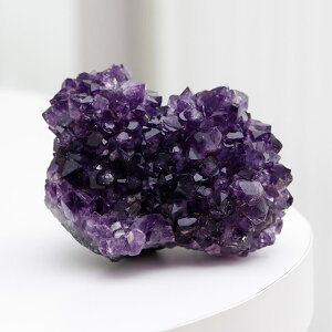 yi͂Izt[AWXg NX^[ EOACY 443Oy p[Xg[ AVXg  VR 2̒a J^   K^  u CeA 