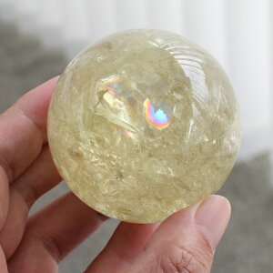 yi͂IzVg ۋ XtBA C{[ 63mm 368gyVR p[Xg[   K^ ɐ   u CeA citrine GIM RM 2000900804300zyMY25K TC5 DNzy