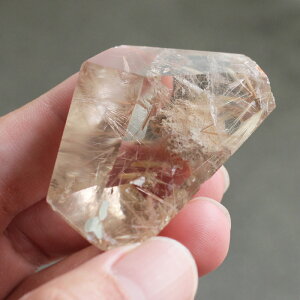 yi͂IzK[f` ^u 39g RNVP[Xyp[Xg[̂炵  VR `NH[c j j  K[fNH[c u Ce