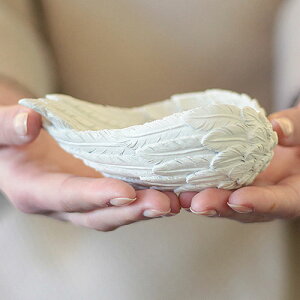 p[Xg[ 򉻁@Vg̉HM@Mtg{bNXyuXbg̏ 򉻃ACe 򉻃ObY VR M  CeA Vg̉H Angelium GWFV[Y n[g^ GI