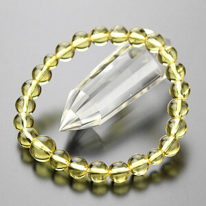 8mm  uXbg yr֔O  uXbg Vg VR 11̒a CG[ jp p Y fB[X 8~ 107080031zyz