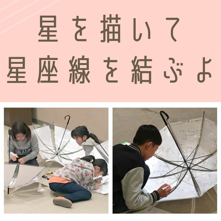 楽天市場】工作キット 星座傘 まるで 星座早見盤 8本骨50cm/65cm傘対応 