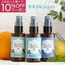 ＼マスクに使う／除菌 抗菌 ブロックアロマスプレー 50ml マスクにシュッ！ /日本製 / マスクスプレー / アロマスプレー/植物由来/マスク 抗菌/マスク...