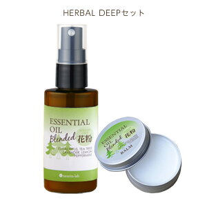 yMtgzԕ΍ObY v[g o[&A}Xv[ Zbg bsO Mtg 蕨 ԕ A} GbZVIC ԕ΍A}Xv[ V[YPAo[ ێ 