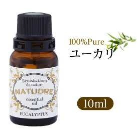 ＼最大20%OFFクーポン配布中／精油 ユーカリ 10mL 【 送料無料 】 ナチュドール 天然100％ 【 エッセンシャルオイル アロマ 精油 】