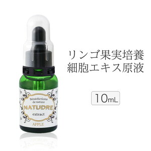 Sʎ|{זEGLXt 10ml i`h[t ϕi et SזE AזE AGLX A  pxt[ זEet {