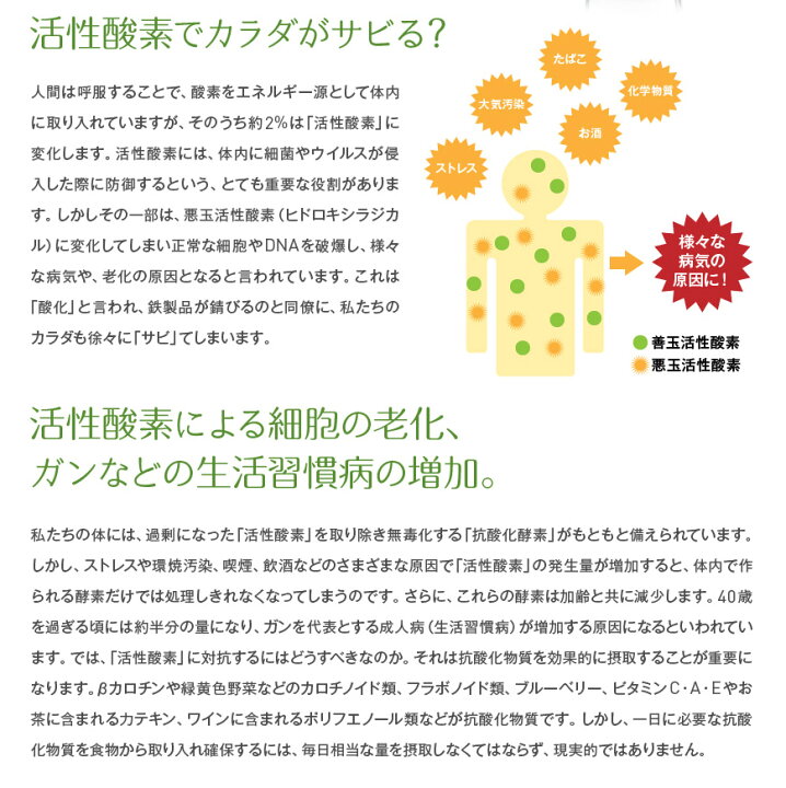 楽天市場】アキュエラブルー 水素水サーバー 電解飽和水素水生成機 