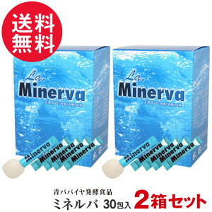 2�Z�b�g ���y���R�H�i �~�l���o �p�p�C�����y�H�i(30��×2)�{6��܂� �����^�C�v ��������