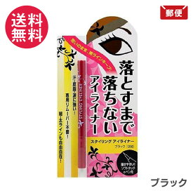 ビナ薬粧 スタイリング アイライナー ブラック 1000円ポッキリ