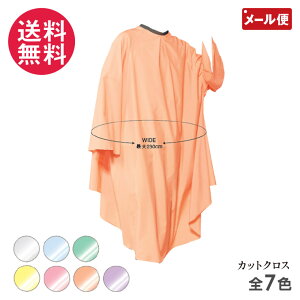 RE No.W3170 CheK[hhX S7F JbgNX e U P[v