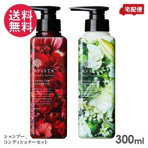 AVISTA ArX^ GCWOPAVv[ / GCWOPARfBVi[ 300ml