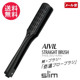 アイビル ストレートブラシ スリム AIVIL ツインブラシ 前髪 CS-24E02