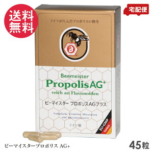 r[}CX^[ v|XAGvX 45 v| I[KjbN Tvg