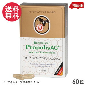 r[}CX^[ v|XAGvX 60 v| I[KjbN Tvg