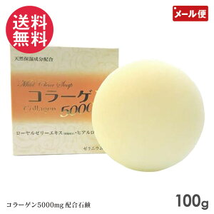 R[QΌ 100g }ChNA\[v  Ō` 