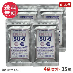 4܃Zbg _ SU-6 35×4 Tvg yp2