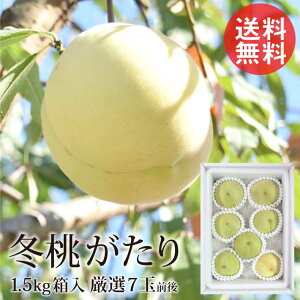 R ~ ~ 1.5kg 7ʑO 1200gO CI  Yn Ε Ε