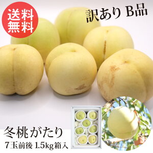 R ~ ~ 󂠂 Bi 1.5kg 7ʑO 1200gO 䖼l  p