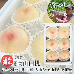 ���䖼�l ���I ���R���� 5�`6�� 1.5kg�O��(������ܖ����� ����)���C���������I���ϓ��x12�x ������ ���� ���R �Y�n����