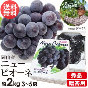 R j[sI[l 3`5[  2kg Gi p Ԃǂ Ȃ   RY Mtg c