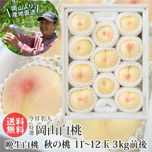䖼l I R 11`12 3kgO H Ӑ CIϓx12xȏ Mtg R  d   Â i