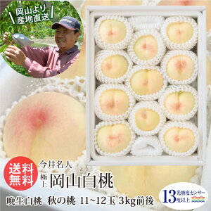 䖼l ɏ R 11`12 3kgO H Ӑ CIϓx13xȏ Mtg R  d   Â i