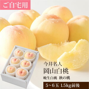 p H R 5`6 1.5kgO(Ӑ)  䖼l R 󂠂 Bi