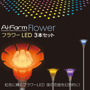 FLOWER t[ LED RGB 3{Zbgyz  Cg 뉀  Ԓd CgAbv NX}X Ɩ C~l[V
