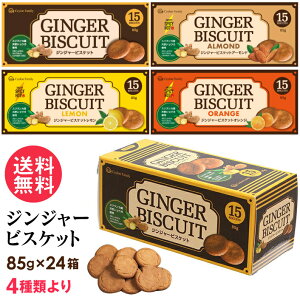 �W���W���[�r�X�P�b�g 85g(15����) 24���Z�b�g 4��ނ�� �A�\�[�g �v���[�� �A�[�����h ������ �I�����W ��������