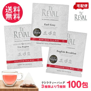 TE REVAL  g egpbN eB[obO 100 ϔ 3 e @ ZCt@~[