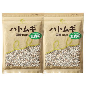 ngM 300g _Y ͂Ɣ Y ͂Ƃނ