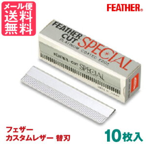 tFU[ JbgXyV 10 JX^U[ ֐n